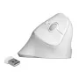 Hiiri DeLOCK 12596 Office oikeakätinen RF Wireless 1600 DPI