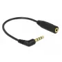 Audiokaapeli DeLOCK 0,175 m 3,5 mm/2,5 mm musta