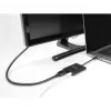 DeLOCK USB Type-C -sovitin DisplayPort 8K HDR Power Delivery 60W