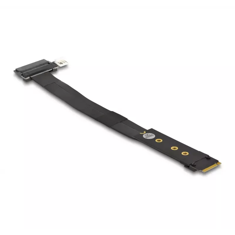 DeLOCK M.2 Key M – U.2 SFF-8639 NVMe -sovitin 20 cm kaapelilla