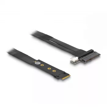 DeLOCK M.2 Key M – U.2 SFF-8639 NVMe -sovitin 20 cm kaapelilla