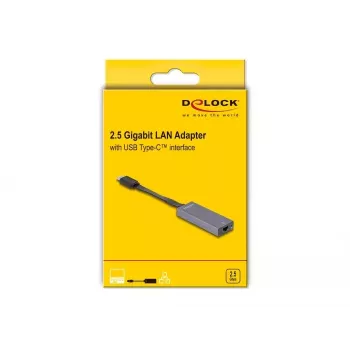 DeLOCK 66248 kaapeliadapteri RJ-45 – USB C harmaa 0,09 m