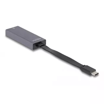 DeLOCK 66248 kaapeliadapteri RJ-45 – USB C harmaa 0,09 m