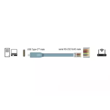 Sarjakaapeli DeLOCK 89893 USB 2.0 Type-C - RJ45 harmaa 1 m