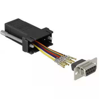 Kaapeliadapteri/gender changer DeLOCK 66165