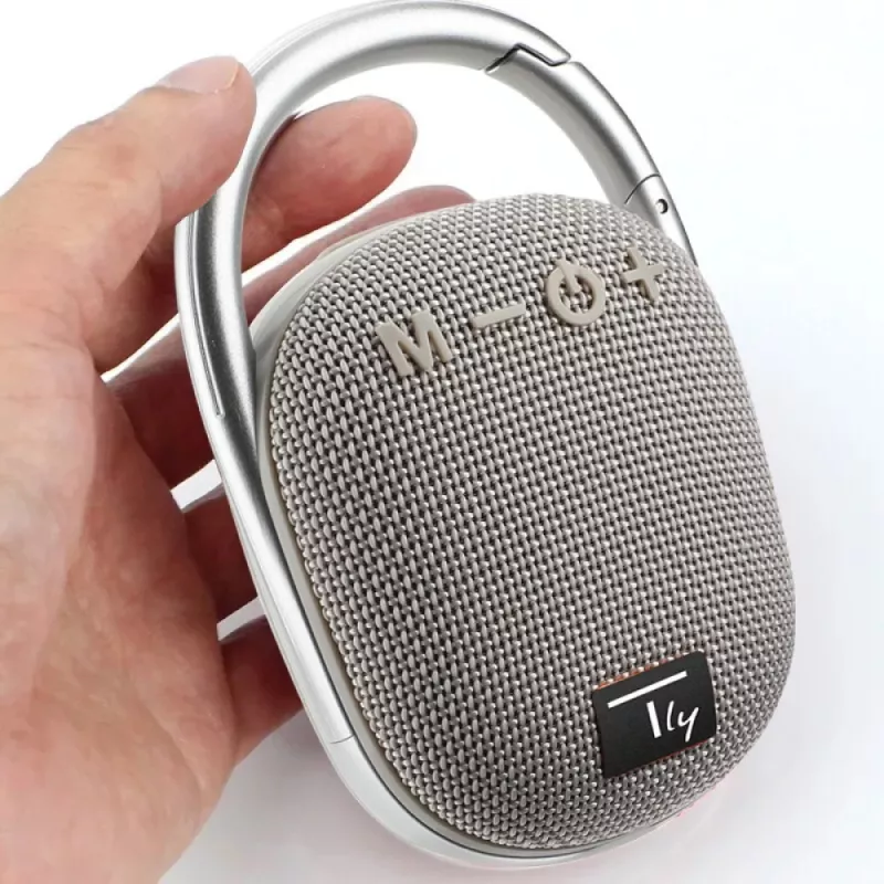 Techly ICASBL321GR kannettava/juhlakaiutin mono kannettava kaiutin harmaa 5 W