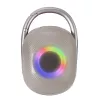 Techly ICASBL321GR kannettava/juhlakaiutin mono kannettava kaiutin harmaa 5 W