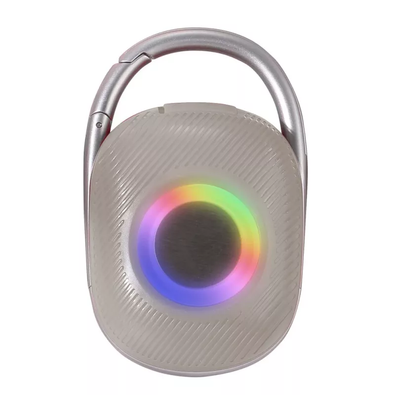 Techly ICASBL321GR kannettava/juhlakaiutin mono kannettava kaiutin harmaa 5 W