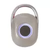 Techly ICASBL321GR kannettava/juhlakaiutin mono kannettava kaiutin harmaa 5 W