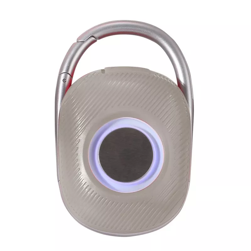 Techly ICASBL321GR kannettava/juhlakaiutin mono kannettava kaiutin harmaa 5 W
