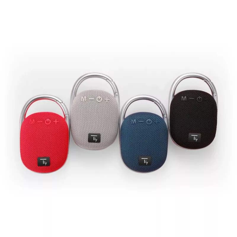 Techly ICASBL321GR kannettava/juhlakaiutin mono kannettava kaiutin harmaa 5 W