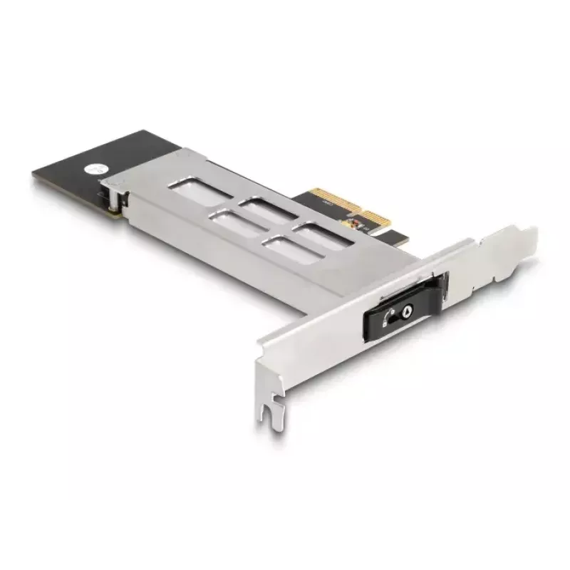 DeLOCK Mobile Rack PCI Express -kortti 1 x M.2 NVMe SSD Low Profile