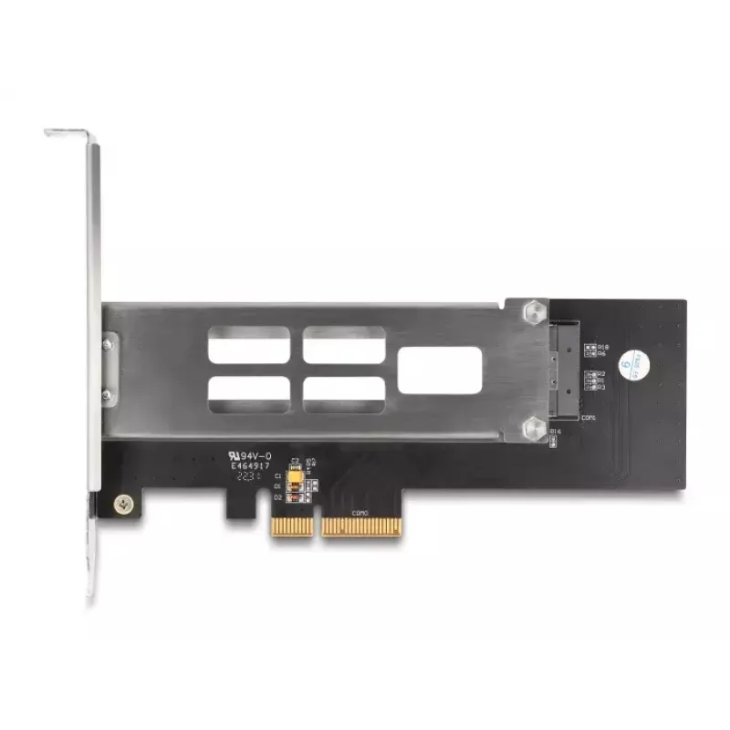 DeLOCK Mobile Rack PCI Express -kortti 1 x M.2 NVMe SSD Low Profile