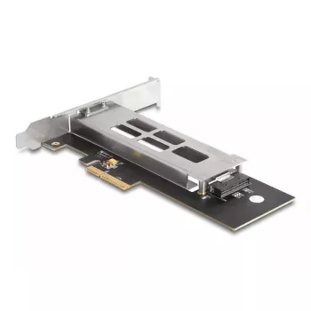 DeLOCK Mobile Rack PCI Express -kortti 1 x M.2 NVMe SSD Low Profile