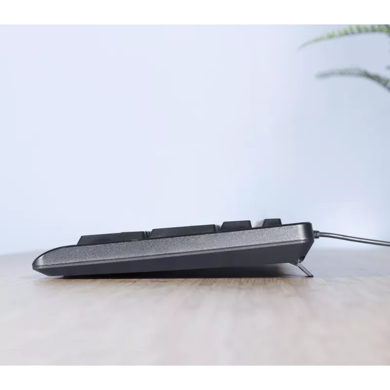 Trust TKM-250 näppäimistö hiiri sisältyy toimisto USB QWERTZ saksa musta