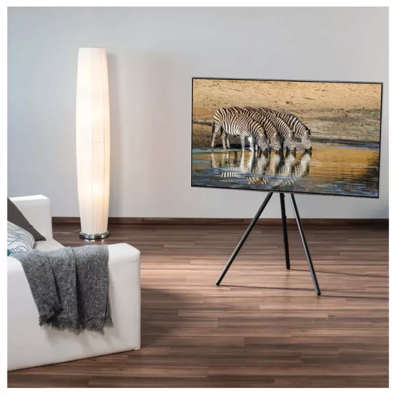 Hama 00220870 TV-teline/jalusta 190,5 cm (75