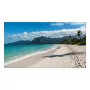 LCD-sisänäyttö Sharp PN-UN553V 55 tuumaa Full HD (1920×1080), IPS, 500 cd/m², 3500:1, VESA