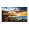 Näyttö Samsung QE55T 55 inch LED 4K Ultra HD