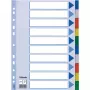 Esselte välilehti PP A4 tyhjärekisteri monivärinen 225x297mm