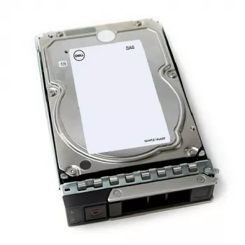 DELL 161-BCJX sisäinen kiintolevy 12 TB 7 200 RPM 3,5