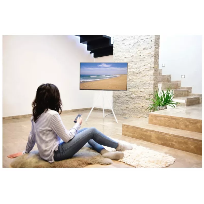 Hama 00220871 TV-teline/jalusta 190,5 cm (75