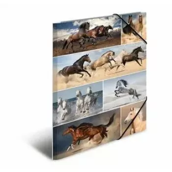 Asiakirjakansio kartongista HERMA 19217 A3 monivärinen