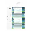 Durable 679727 tyhjä välilehti monivärinen polypropeeni 245 x 305 mm
