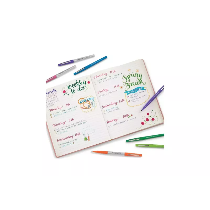 Filzstift Medium Papermate Flair monivärinen 16 kpl