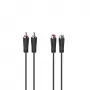 Hama 00205095 audiokaapeli 5 m 2 x RCA musta