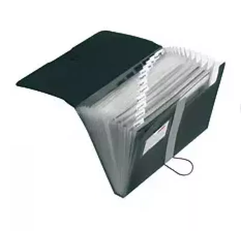 Kansio Herlitz 11208394 musta