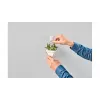 TESA 77780 Indoor -kiinnityskoukku valkoinen 2 kpl