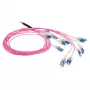 ACT 45 metriä multimode 50/125 OM4 valmiiksi koottu kuitukaapeli 24F LC Polarity Twist