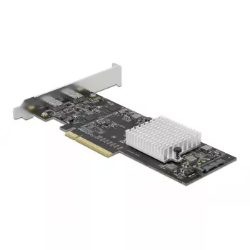 PCI Express x8 -kortti DeLOCK 89011