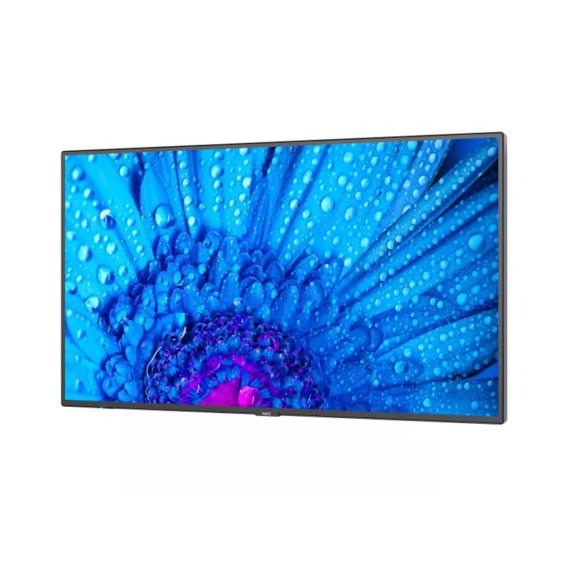 NEC MultiSync M491 Digital Signage -näyttö 124,5 cm (49
