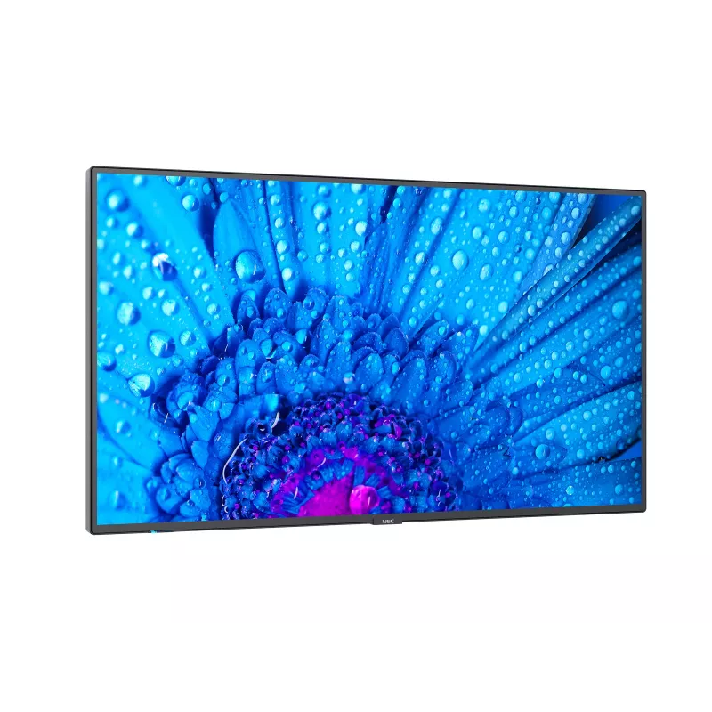 NEC MultiSync M491 Digital Signage -näyttö 124,5 cm (49