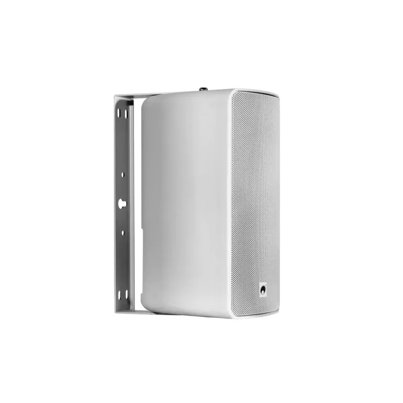2-tiekaiutin Omnitronic 11036955 80 W