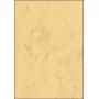 Taidepainopaperi Sigel DP262 100 arkkia beige 90 g/m²