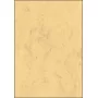 Taidepaperiarkit Sigel DP553 50 arkkia beige 200 g/m²