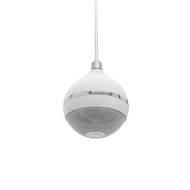 2-tiekaiutin Omnitronic 80710421 valkoinen johdollinen 10 W