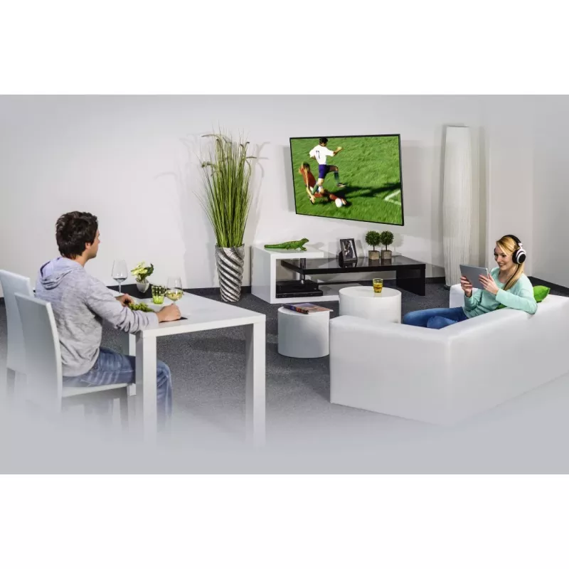 Hama 00118100 TV-seinäteline 121,9 cm (48