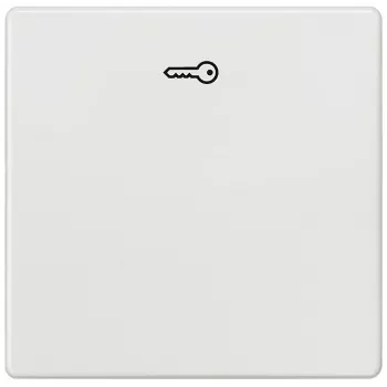 Siemens 5TG6208 seinäasennus/kytkinkansi monivärinen