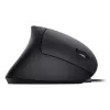 Equip 245118 hiiri yleismalli oikeakätinen USB Type-A optinen 3200 DPI