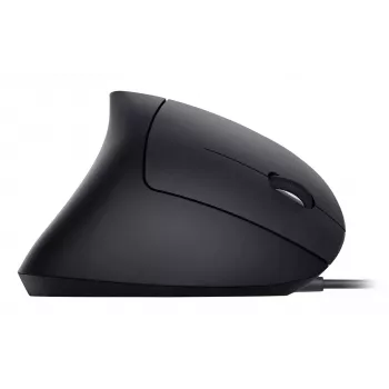 Equip 245118 hiiri yleismalli oikeakätinen USB Type-A optinen 3200 DPI