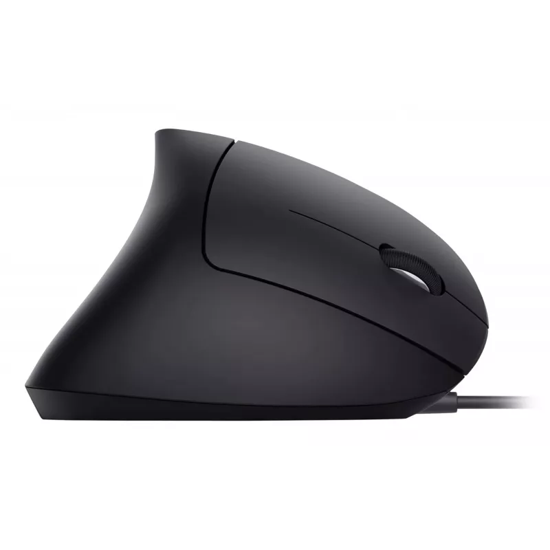 Equip 245118 hiiri yleismalli oikeakätinen USB Type-A optinen 3200 DPI