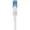 Verkkokaapeli Renkforce RF-3829272 20m Cat6a S/FTP