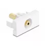 Pistorasia DeLOCK 90843 2 x 3,5 mm kaapeliliitin valkoinen