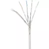 Verkkokaapeli Renkforce RF-4145289 5 m Cat6a S/FTP