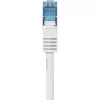 Renkforce Cat6a S/FTP -verkkokaapeli 1381764, 10 m, harmaa