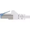 Verkkokaapeli Renkforce RF-4149849 10 m Cat6a U/FTP