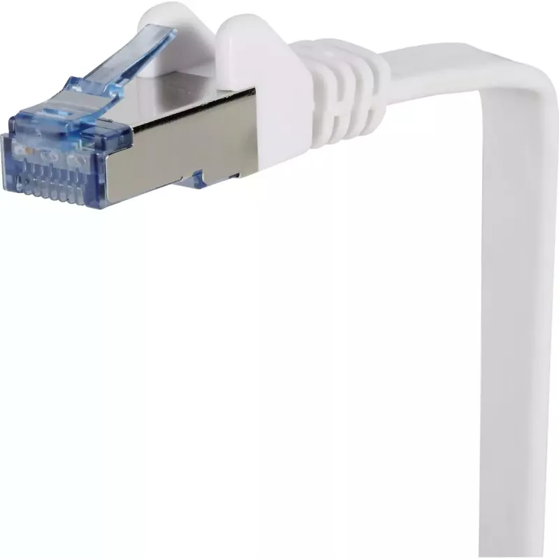 Verkkokaapeli Renkforce RF-4149849 10 m Cat6a U/FTP